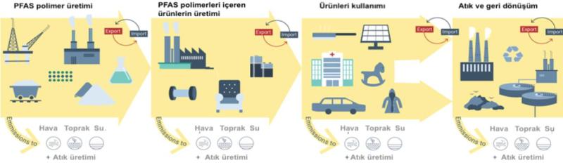 Sonsuza kadar kalıcı kimyasalların (PFAS) çevresel etkileri